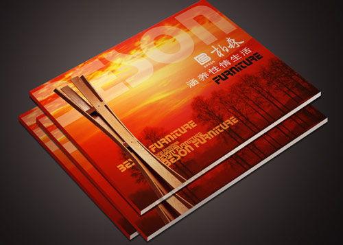 東莞網絡科技畫冊印刷 技術開發(fā)與產品宣傳的專業(yè)載體