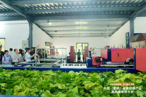 科技創(chuàng)新賦能，推動成渝地區(qū)蠶桑絲綢產業(yè)一體化發(fā)展