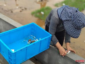 從海水稻到廚衛雜品 科技創新的多元探索與實踐